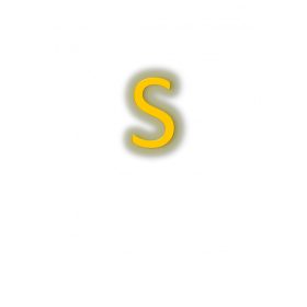 S (36)